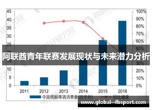 阿联酋青年联赛发展现状与未来潜力分析 阿联酋青年联赛发展现状与未来潜力分析