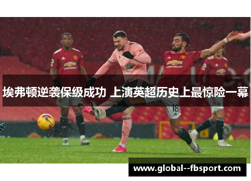 埃弗顿逆袭保级成功 上演英超历史上最惊险一幕 埃弗顿逆袭保级成功 上演英超历史上最惊险一幕